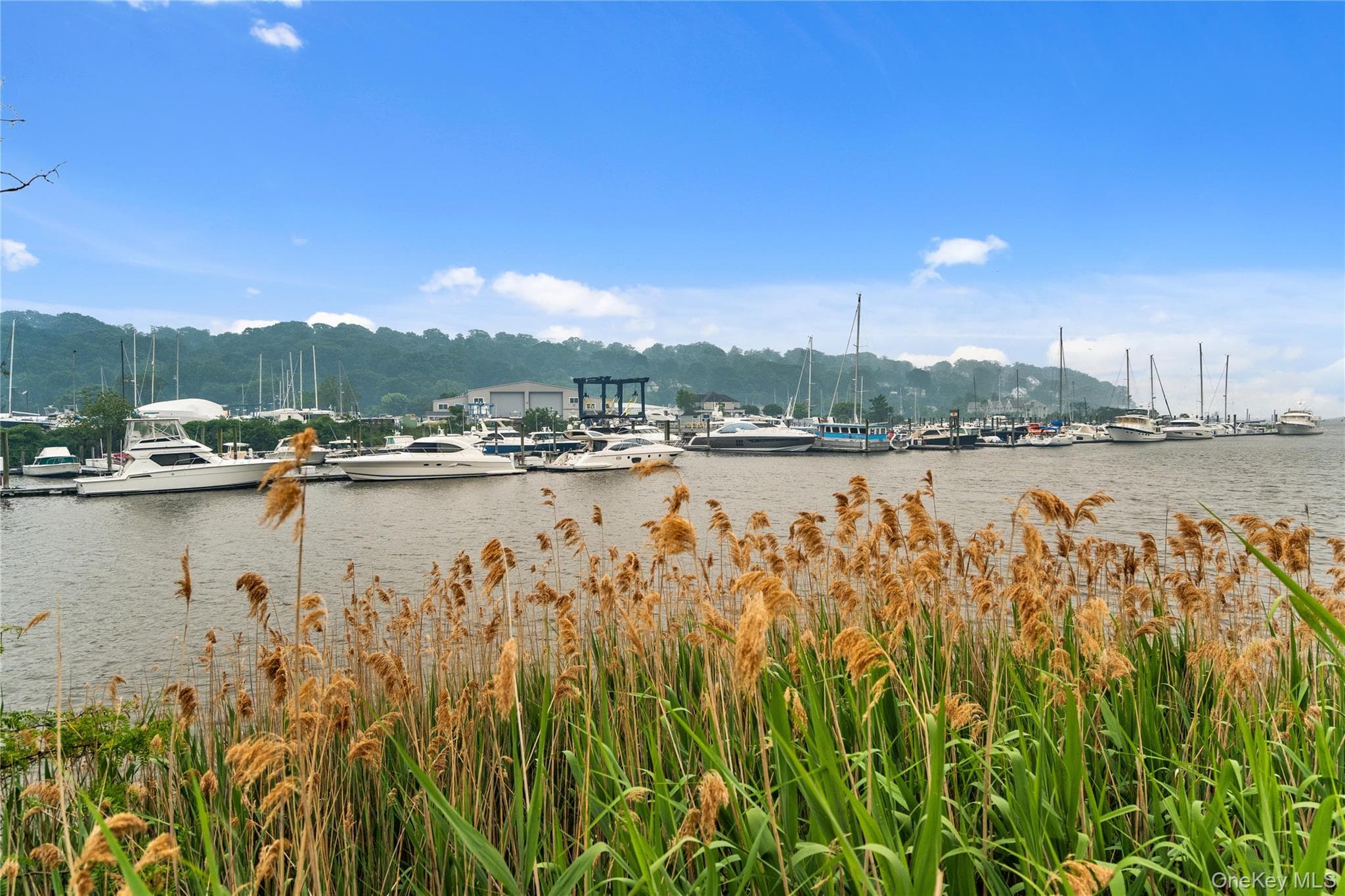 100 Garvies Point Road Unit: 1311 thumbnail 43