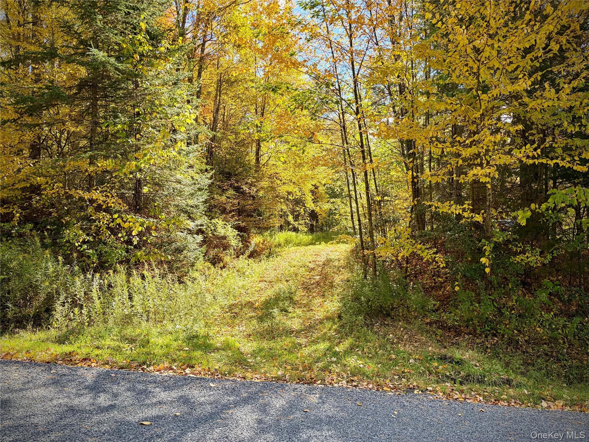 58 Emerald Lake Road thumbnail 19