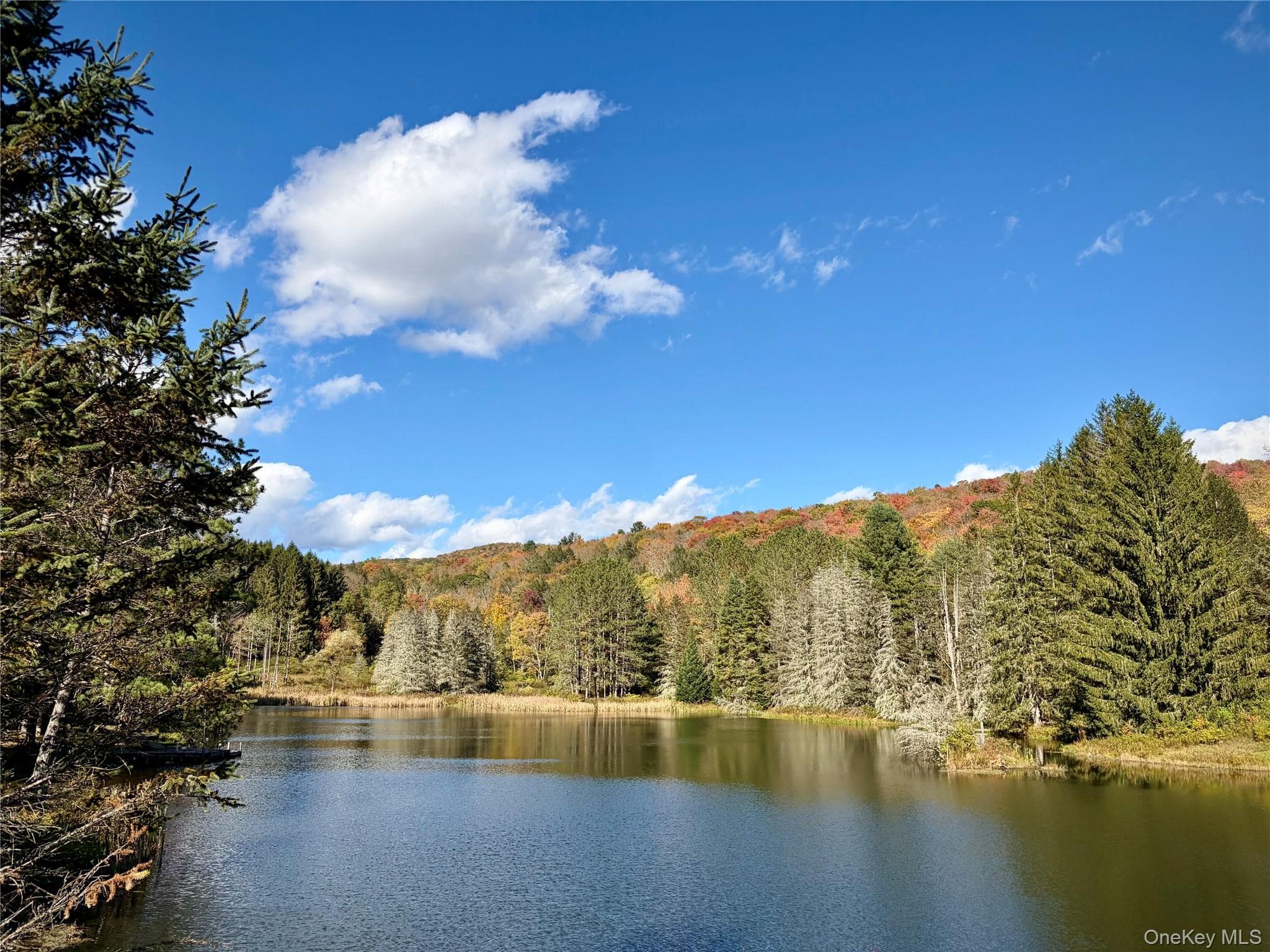 58 Emerald Lake Road thumbnail 2