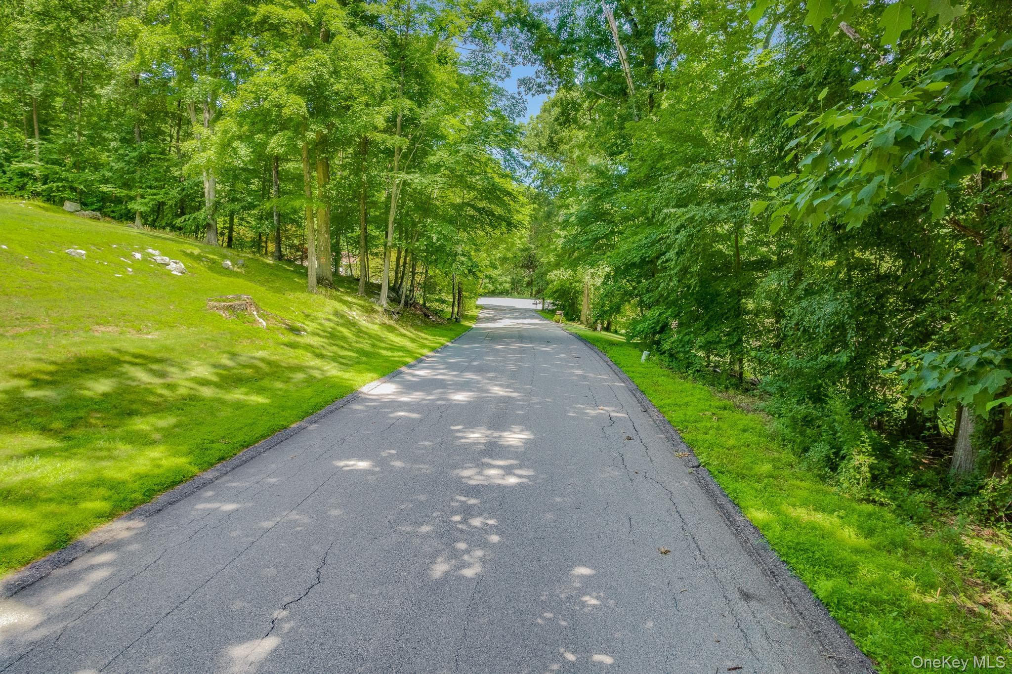 Lot 10 Shamrock Drive thumbnail 12