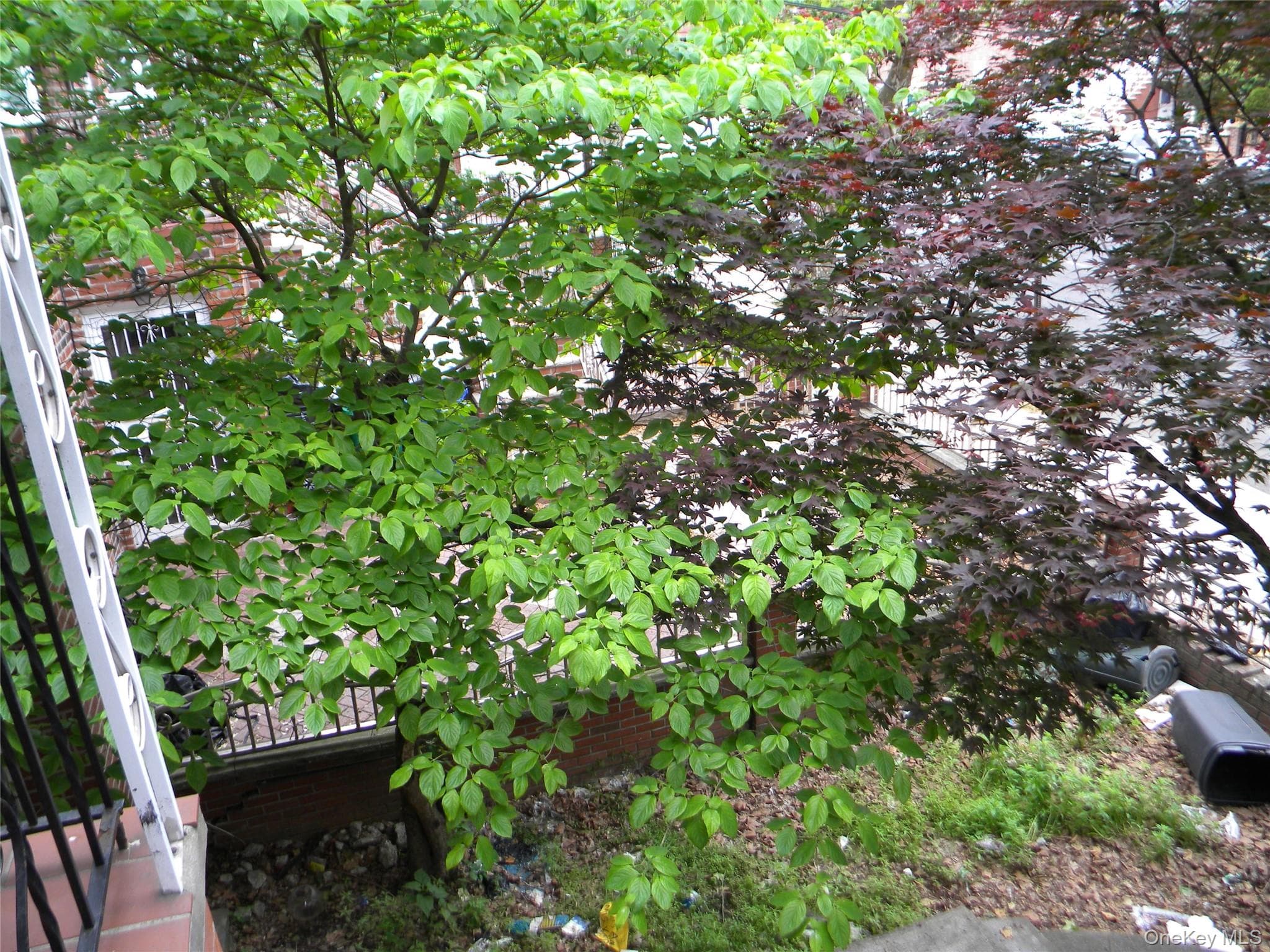 718 E 80th Street thumbnail 2