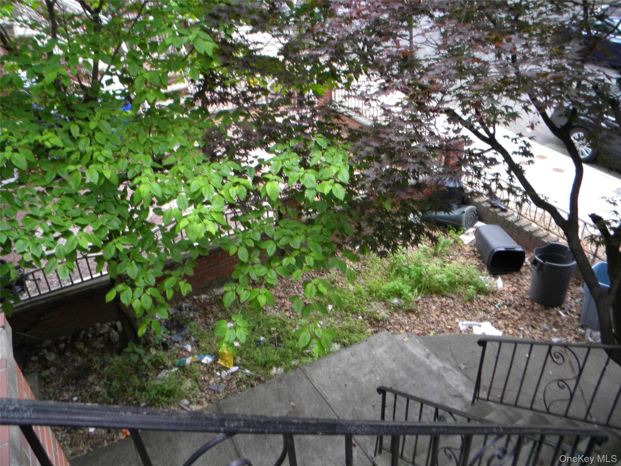 718 E 80th Street thumbnail 3