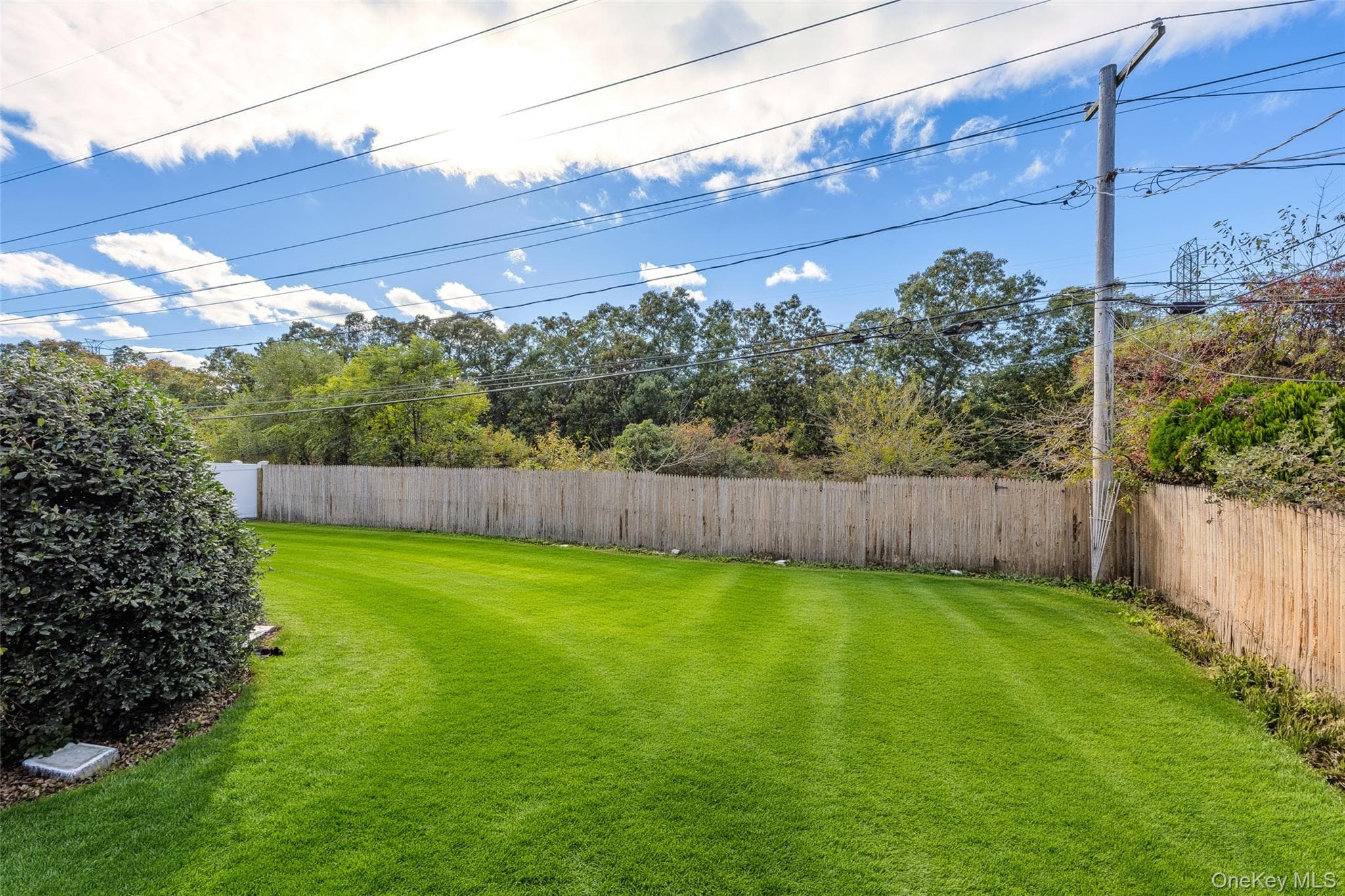 163 Avondale Drive thumbnail 38