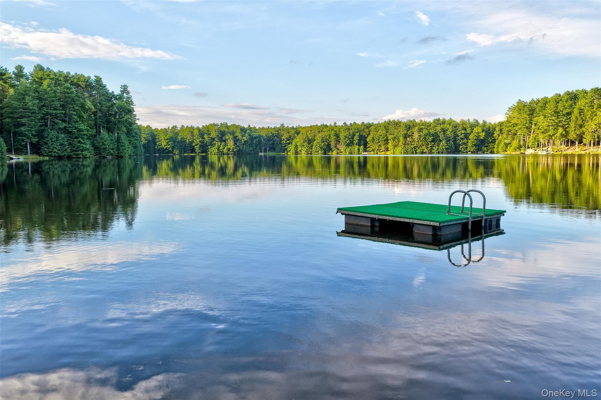 76 Timber Lake Drive thumbnail 39
