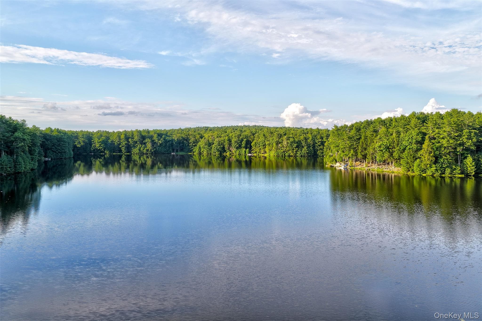 76 Timber Lake Drive thumbnail 38