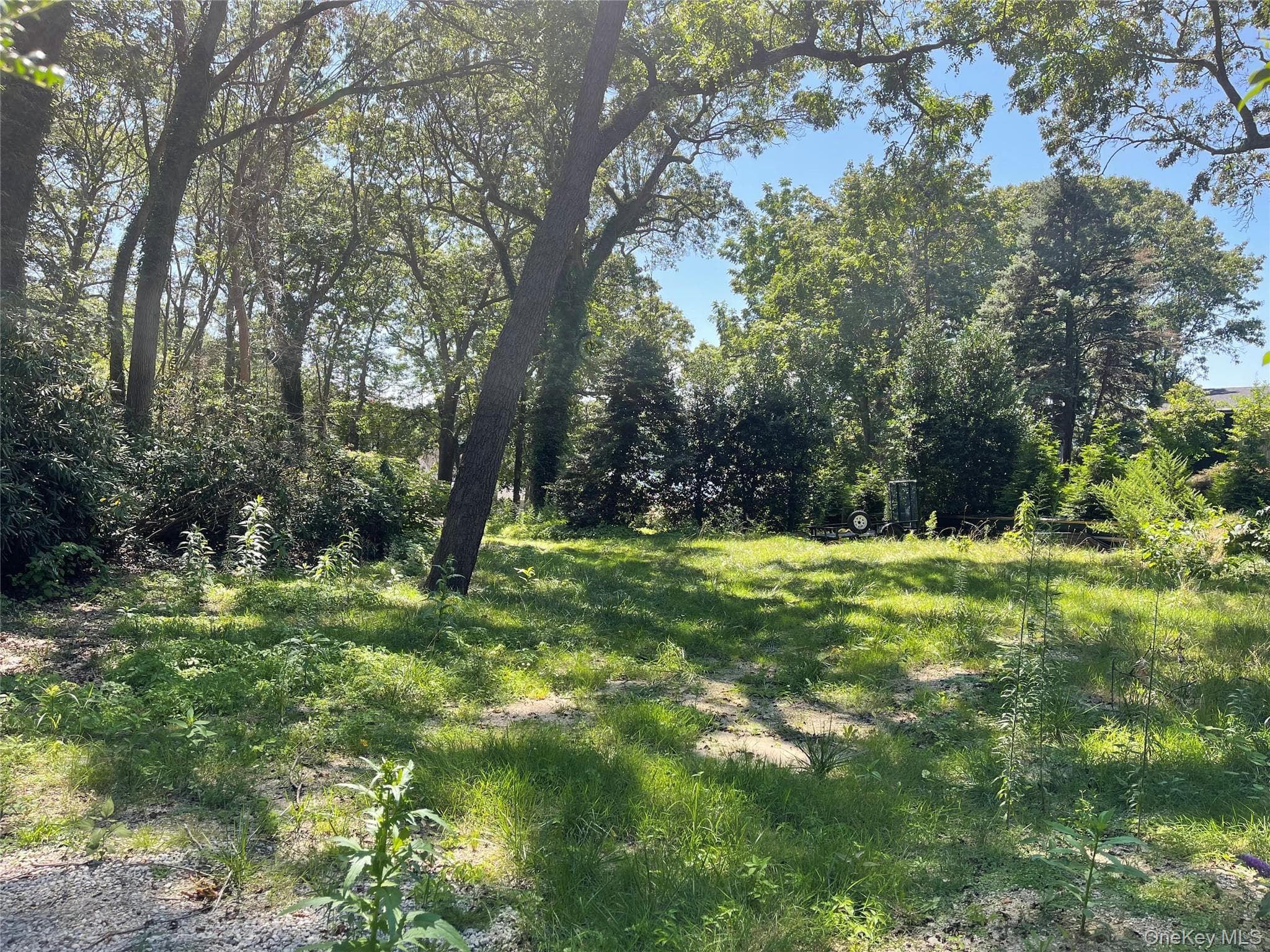 Little Neck Road thumbnail 6