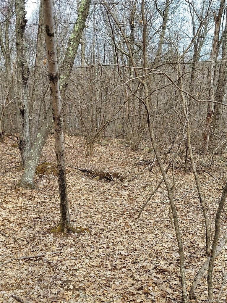 489 Grape Hollow Road thumbnail 8