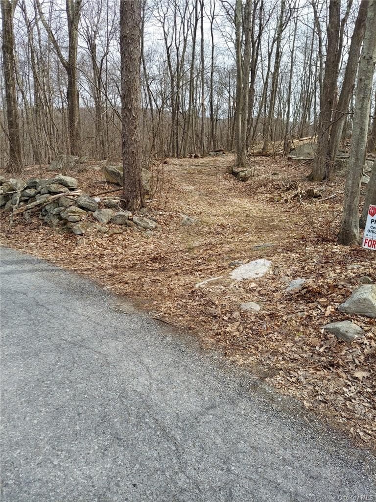 489 Grape Hollow Road thumbnail 4