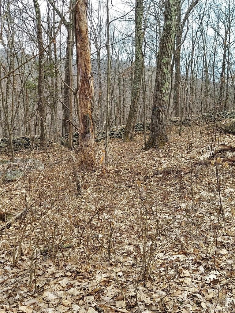 489 Grape Hollow Road thumbnail 9