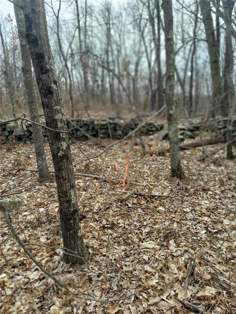 489 Grape Hollow Road thumbnail 16
