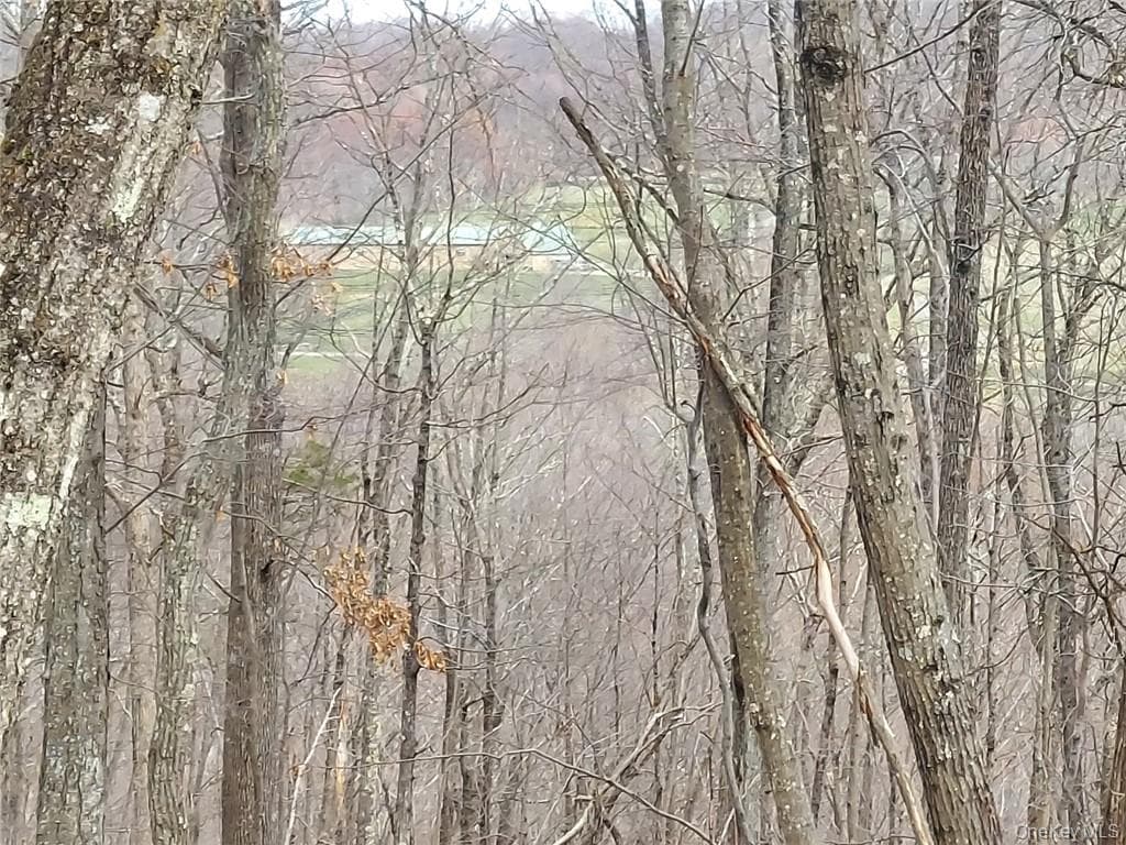 489 Grape Hollow Road thumbnail 22