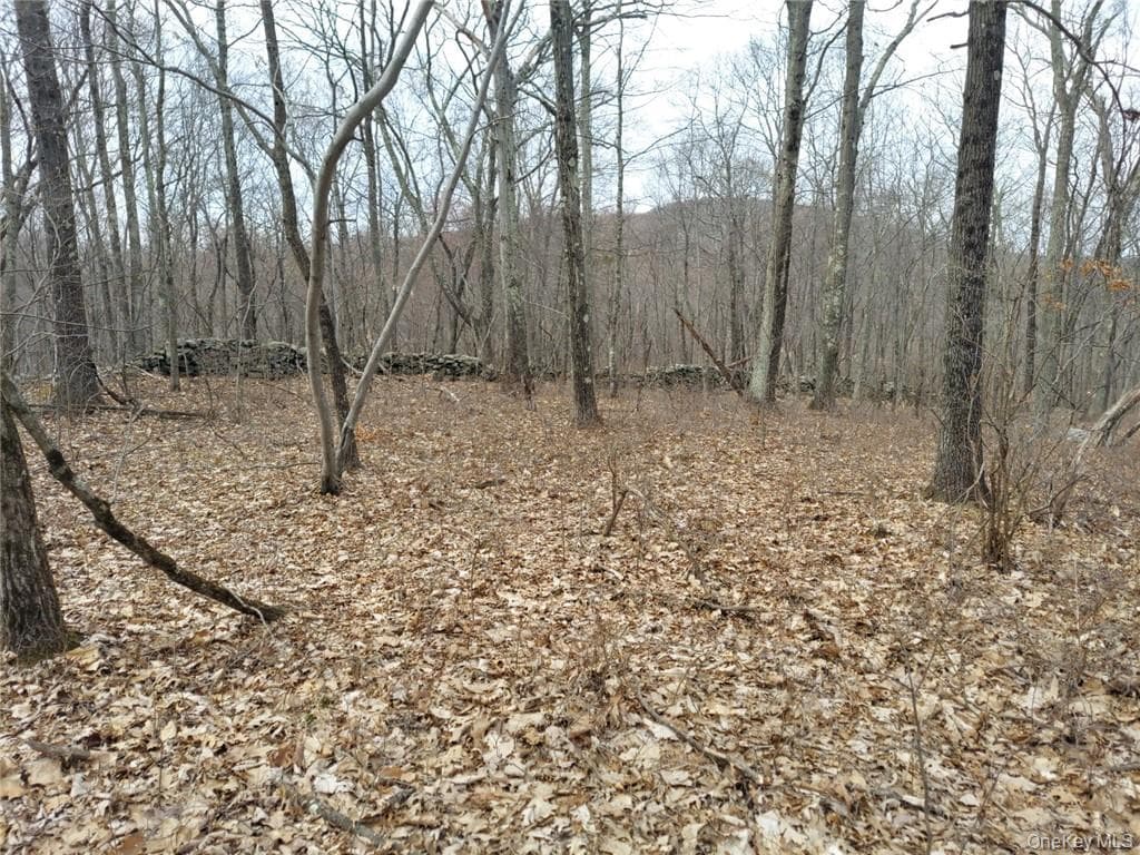 489 Grape Hollow Road thumbnail 13