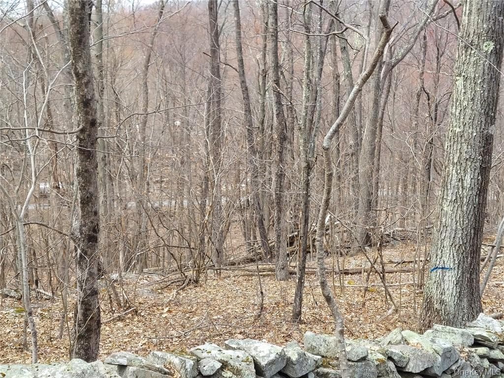 489 Grape Hollow Road thumbnail 15