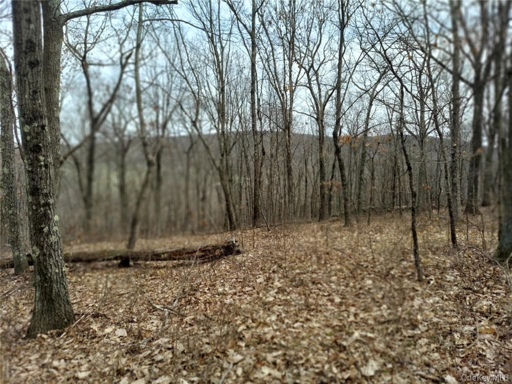 489 Grape Hollow Road thumbnail 14