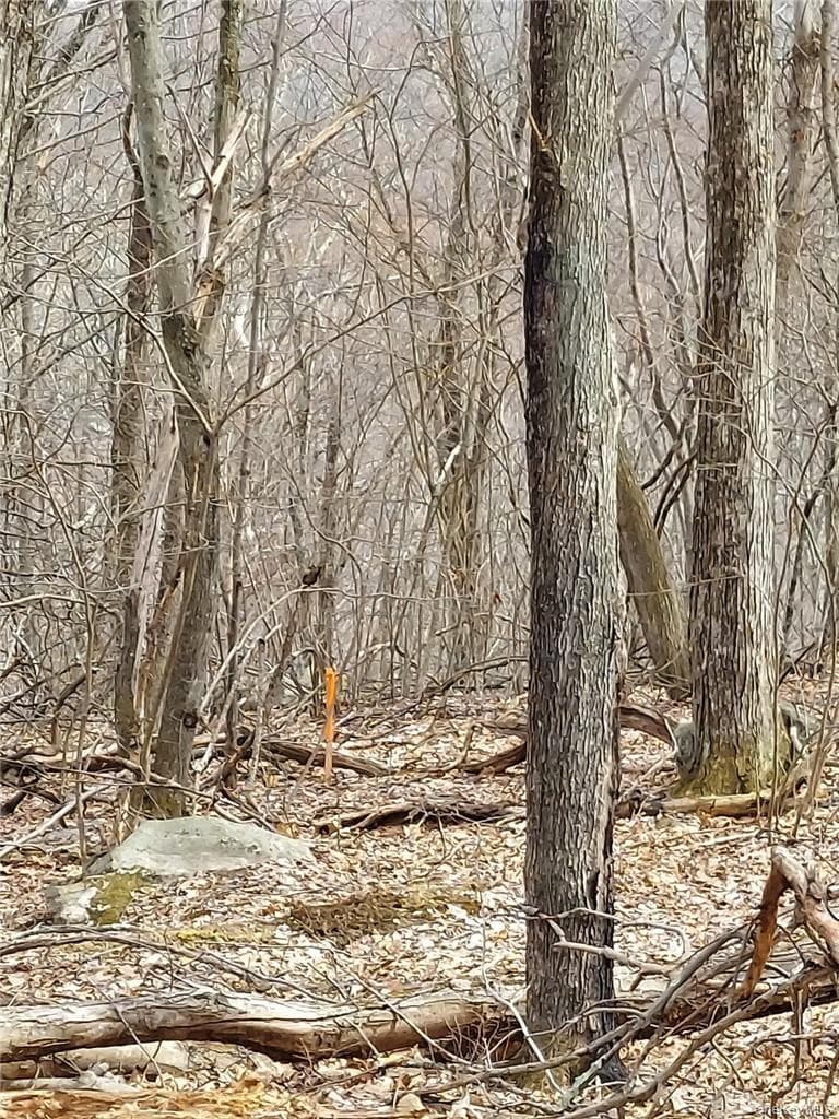 489 Grape Hollow Road thumbnail 6