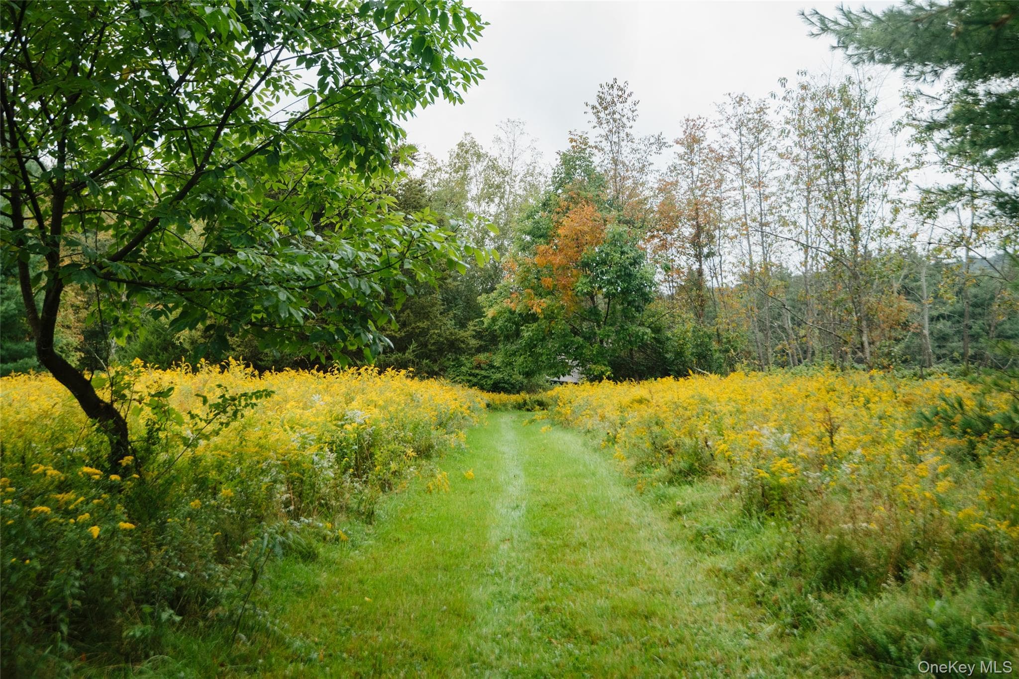 67 Baker Road thumbnail 38
