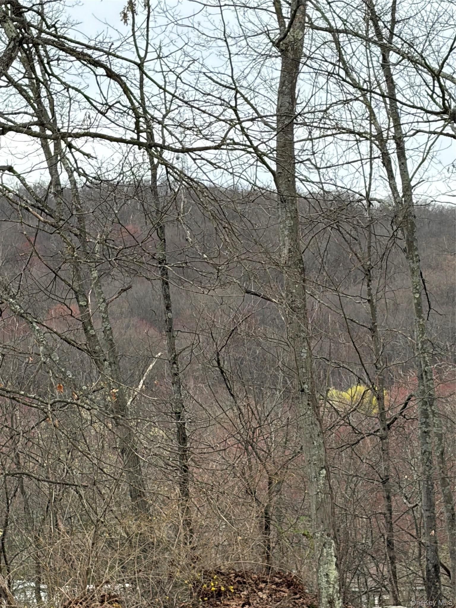 Fox Mountain thumbnail 2