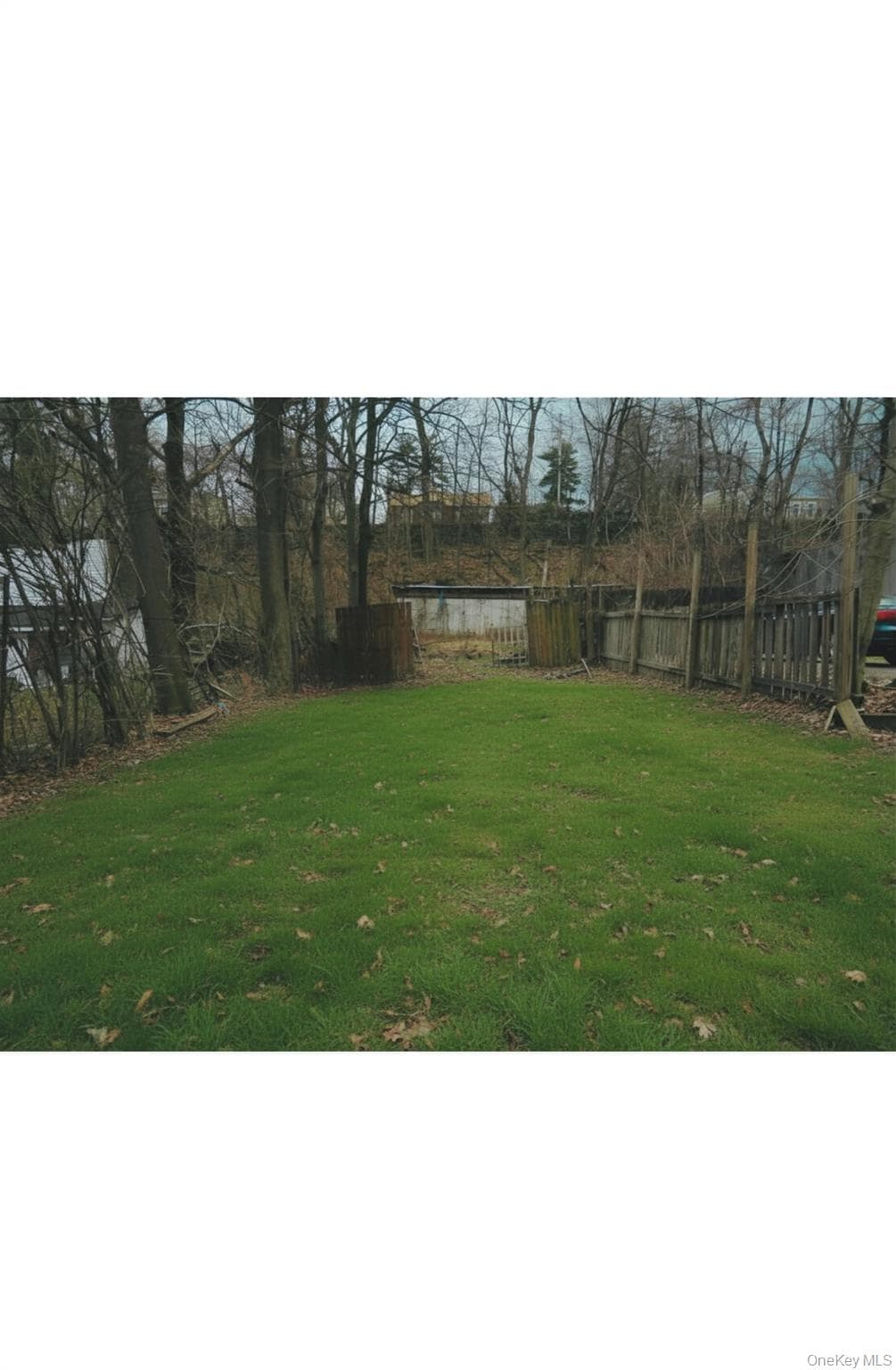 203 Dubois Street thumbnail 6