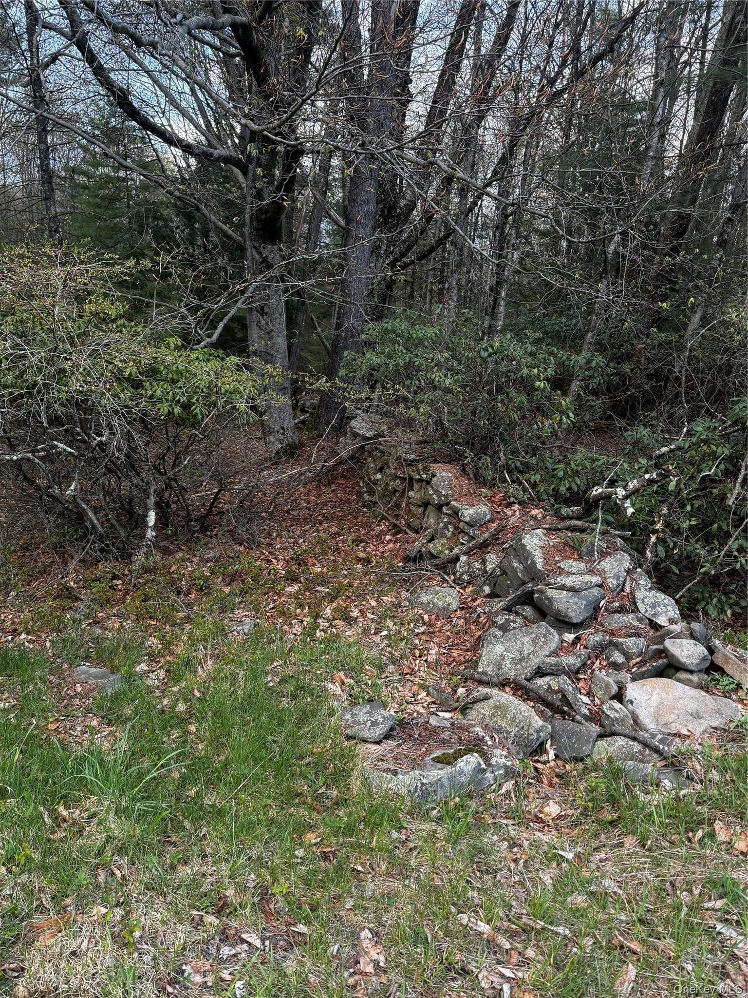 TBD 000 Ulster Heights Road thumbnail 2