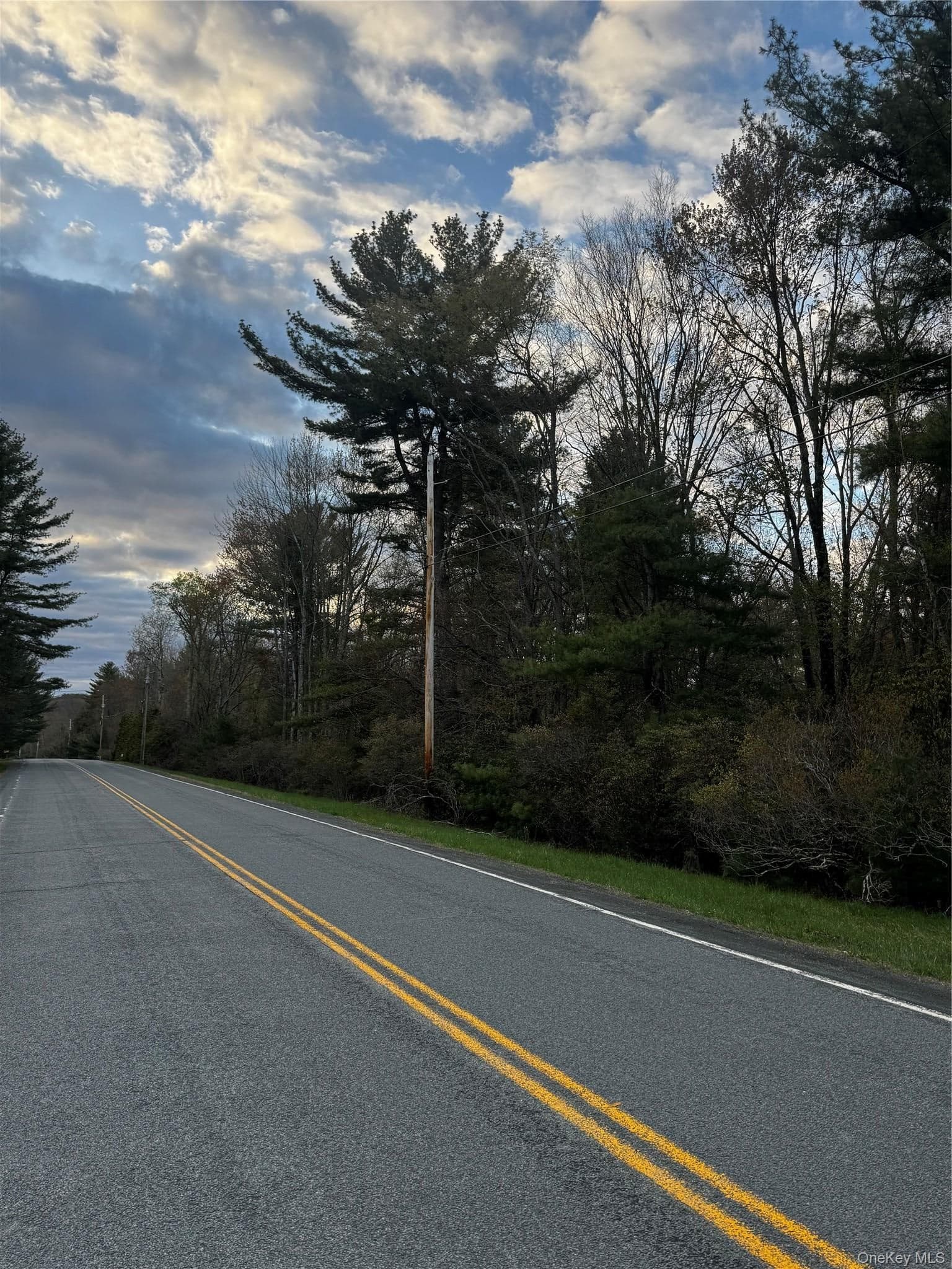 TBD 000 Ulster Heights Road, Fallsburg