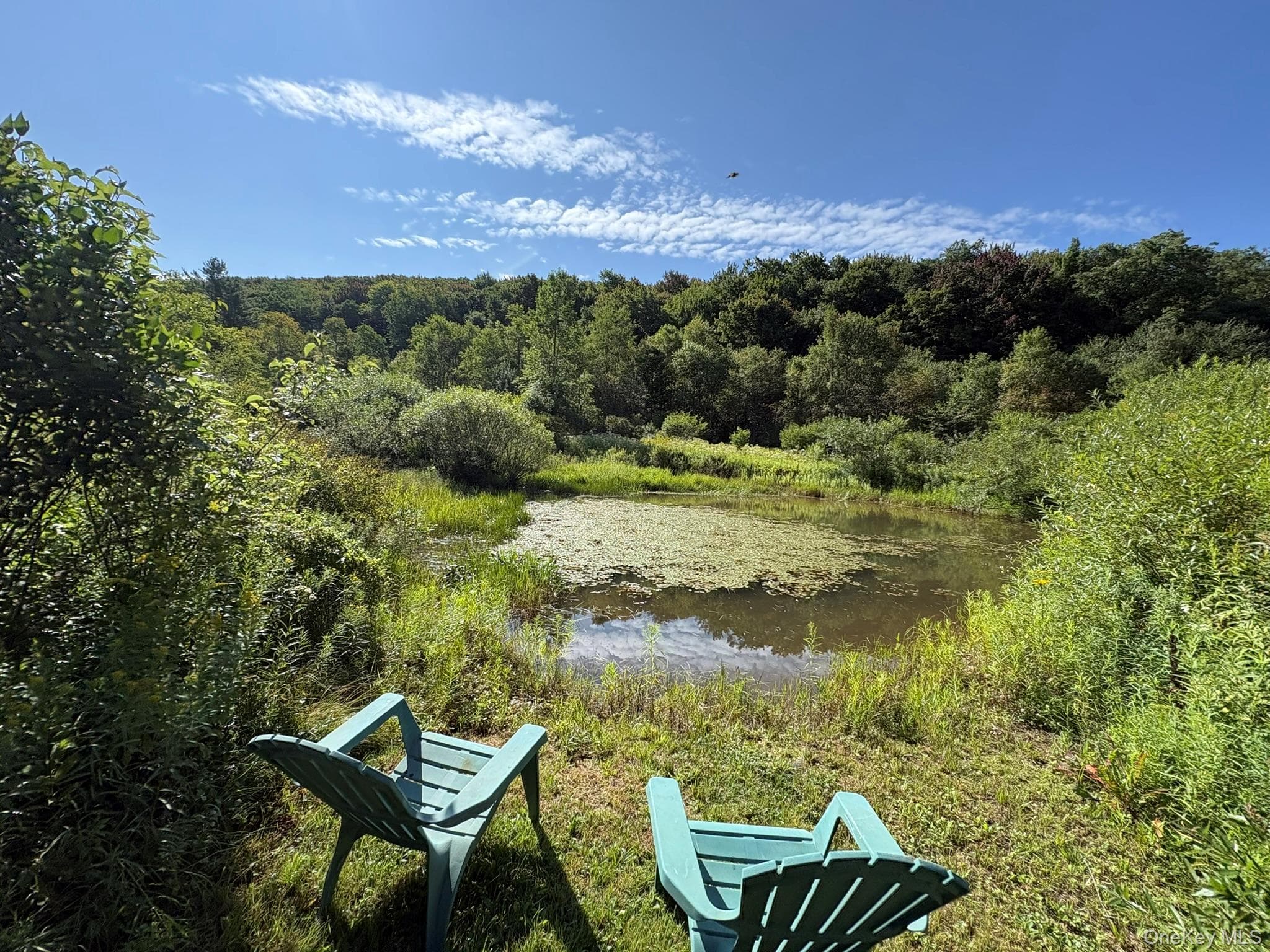 5176 Campbell Brook Road thumbnail 36