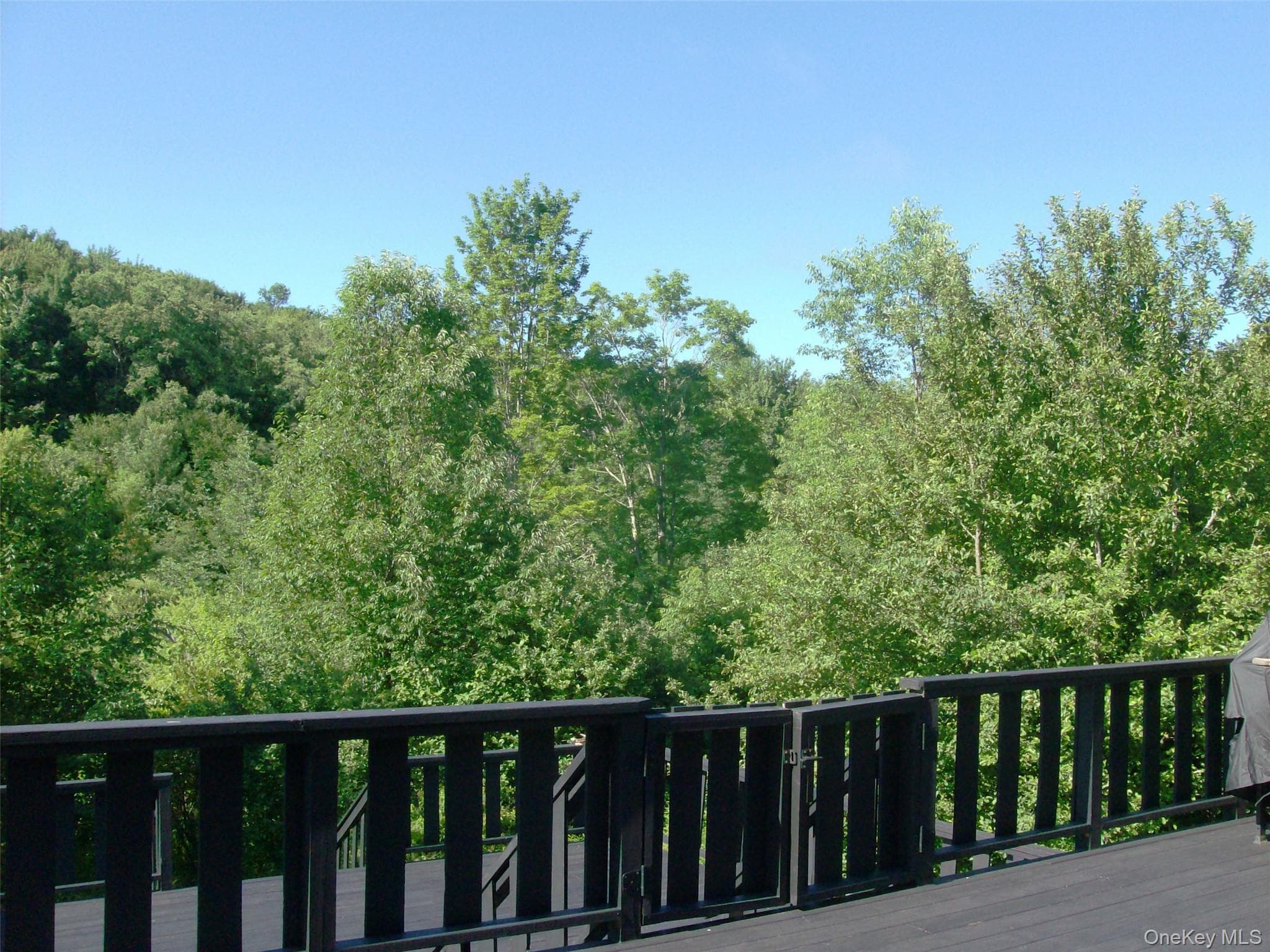 5176 Campbell Brook Road thumbnail 29