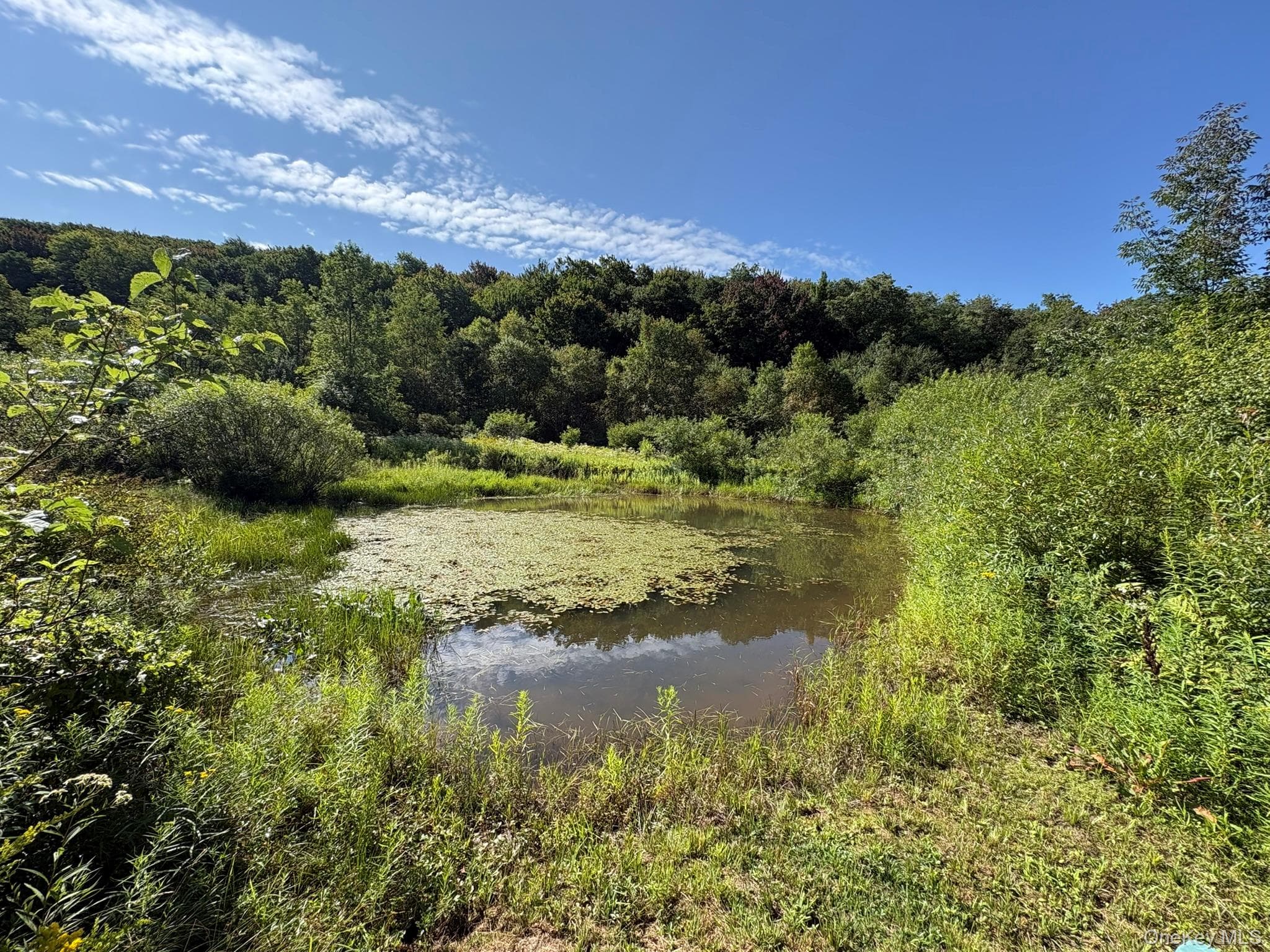 5176 Campbell Brook Road thumbnail 37