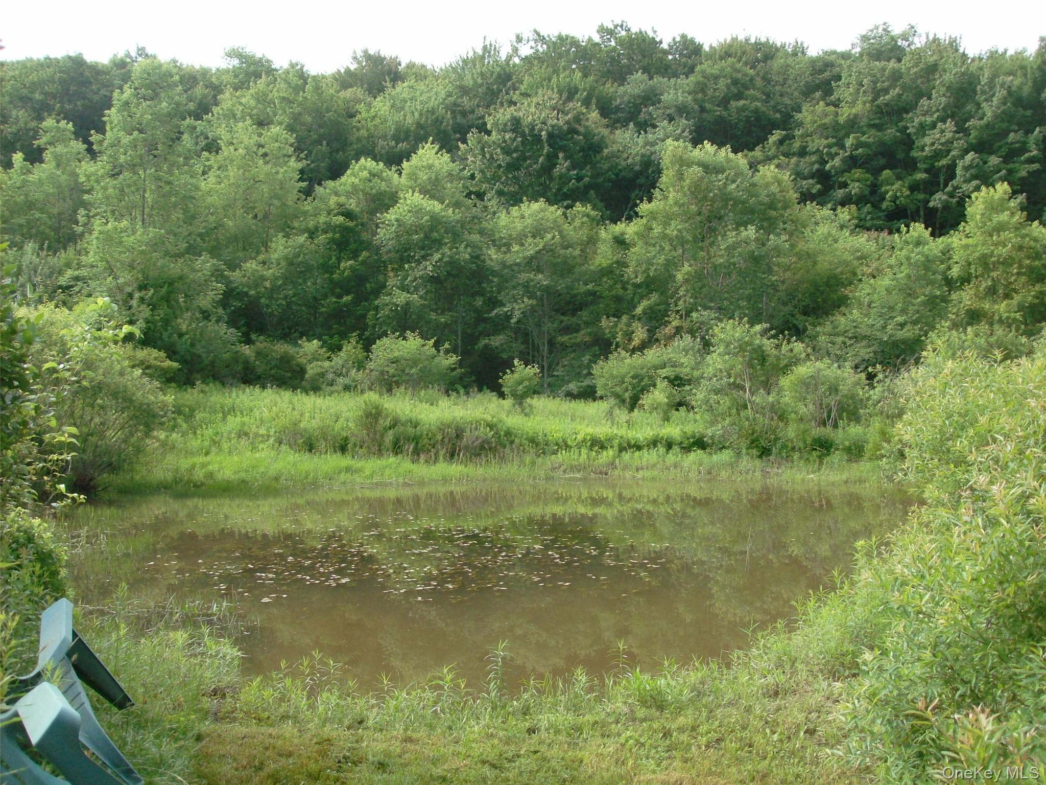 5176 Campbell Brook Road thumbnail 23