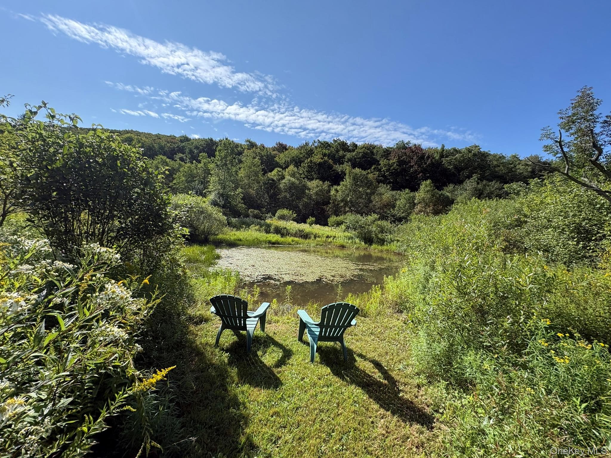 5176 Campbell Brook Road thumbnail 35