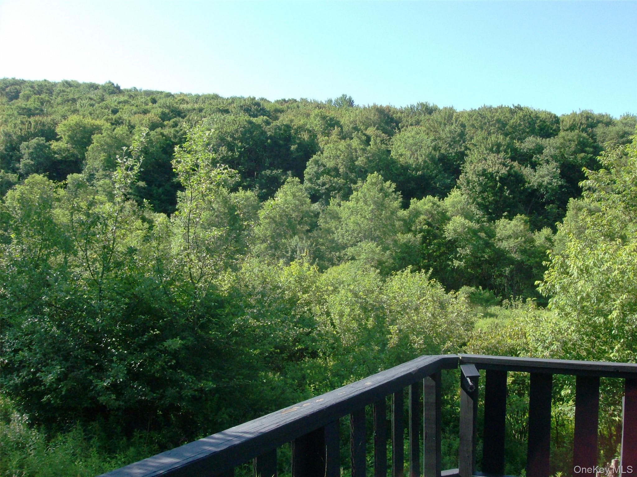 5176 Campbell Brook Road thumbnail 28