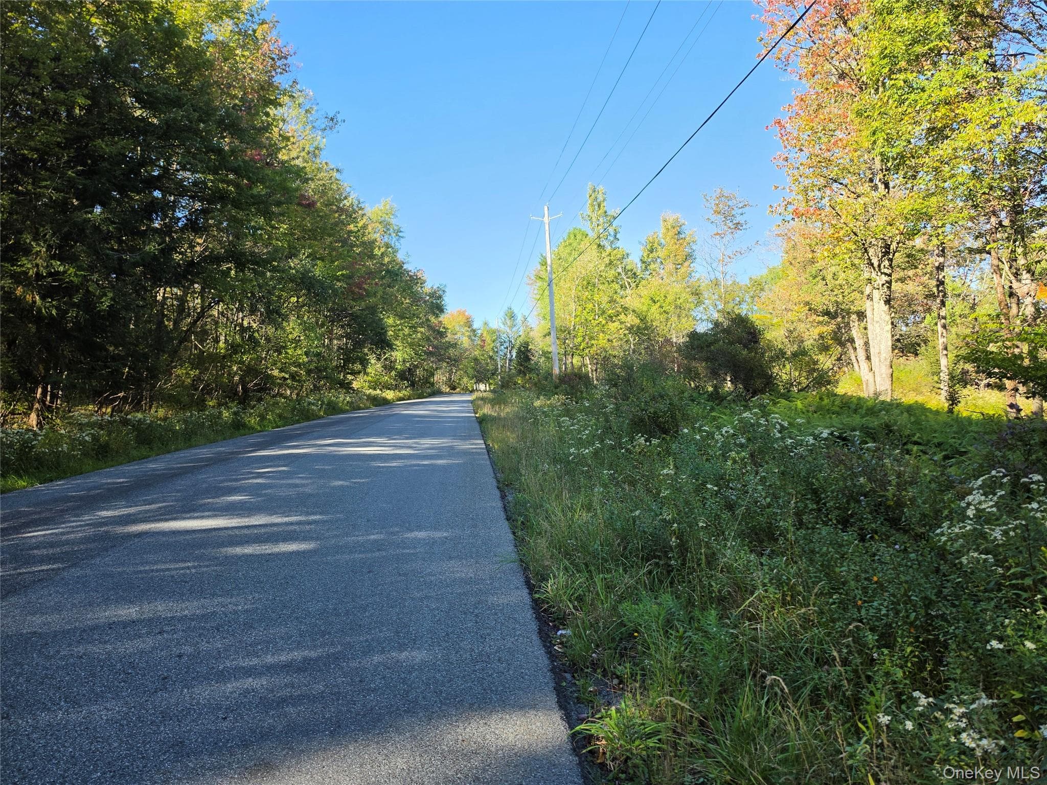TBD Lily Pond Road thumbnail 27