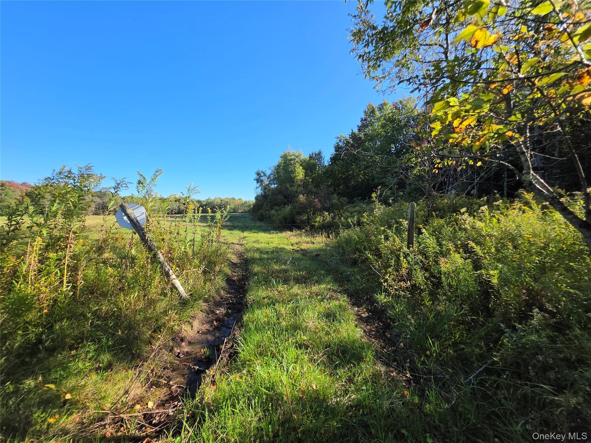 TBD Lily Pond Road thumbnail 18