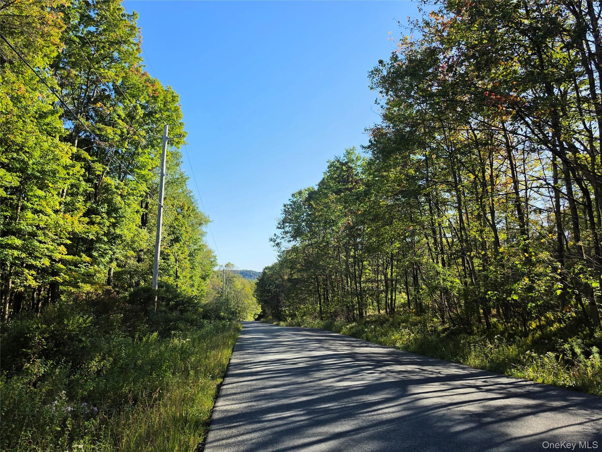 TBD Lily Pond Road thumbnail 28