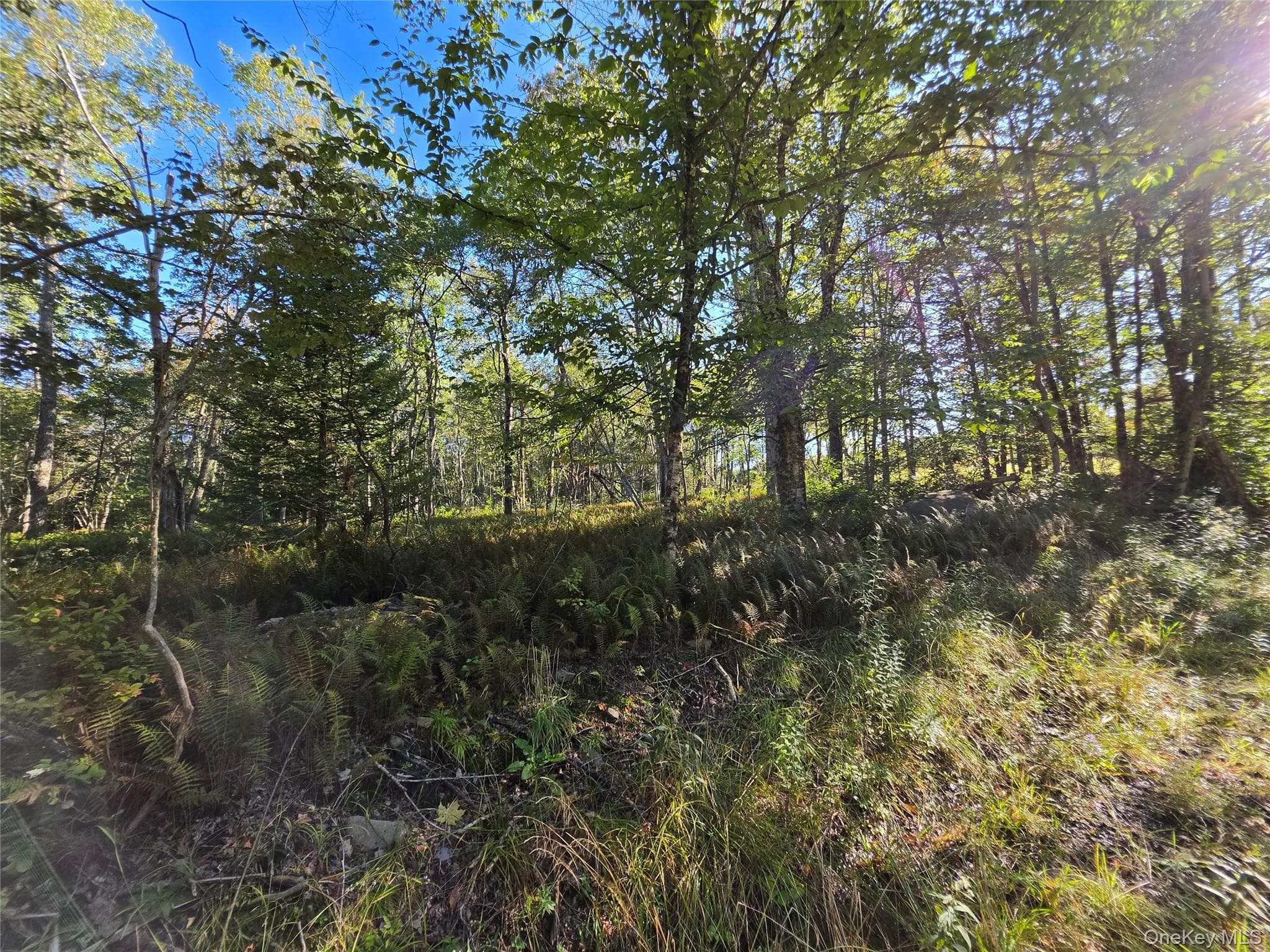 TBD Lily Pond Road thumbnail 22