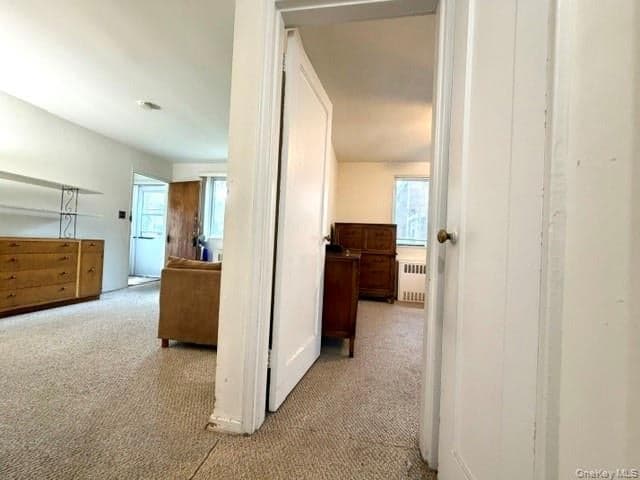 69-29 218th Street Unit: Lower thumbnail 12