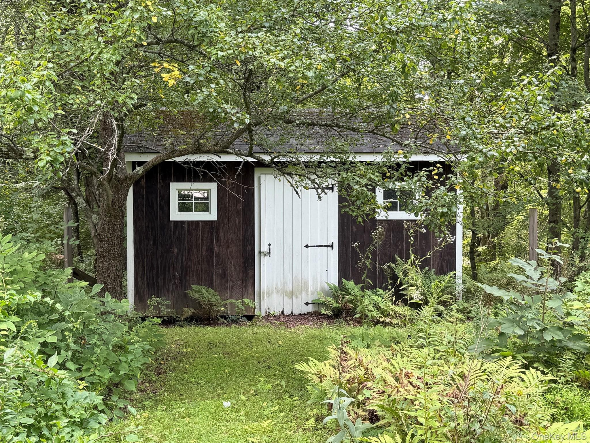 85 Bella Vista Road thumbnail 7