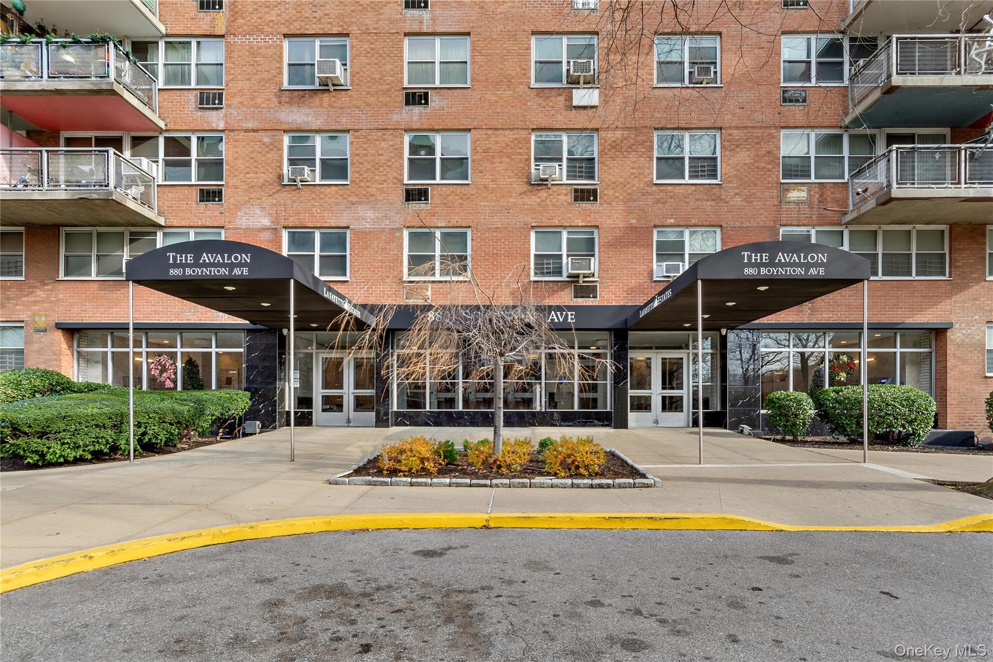880 Boynton Avenue Unit: 1E thumbnail 17