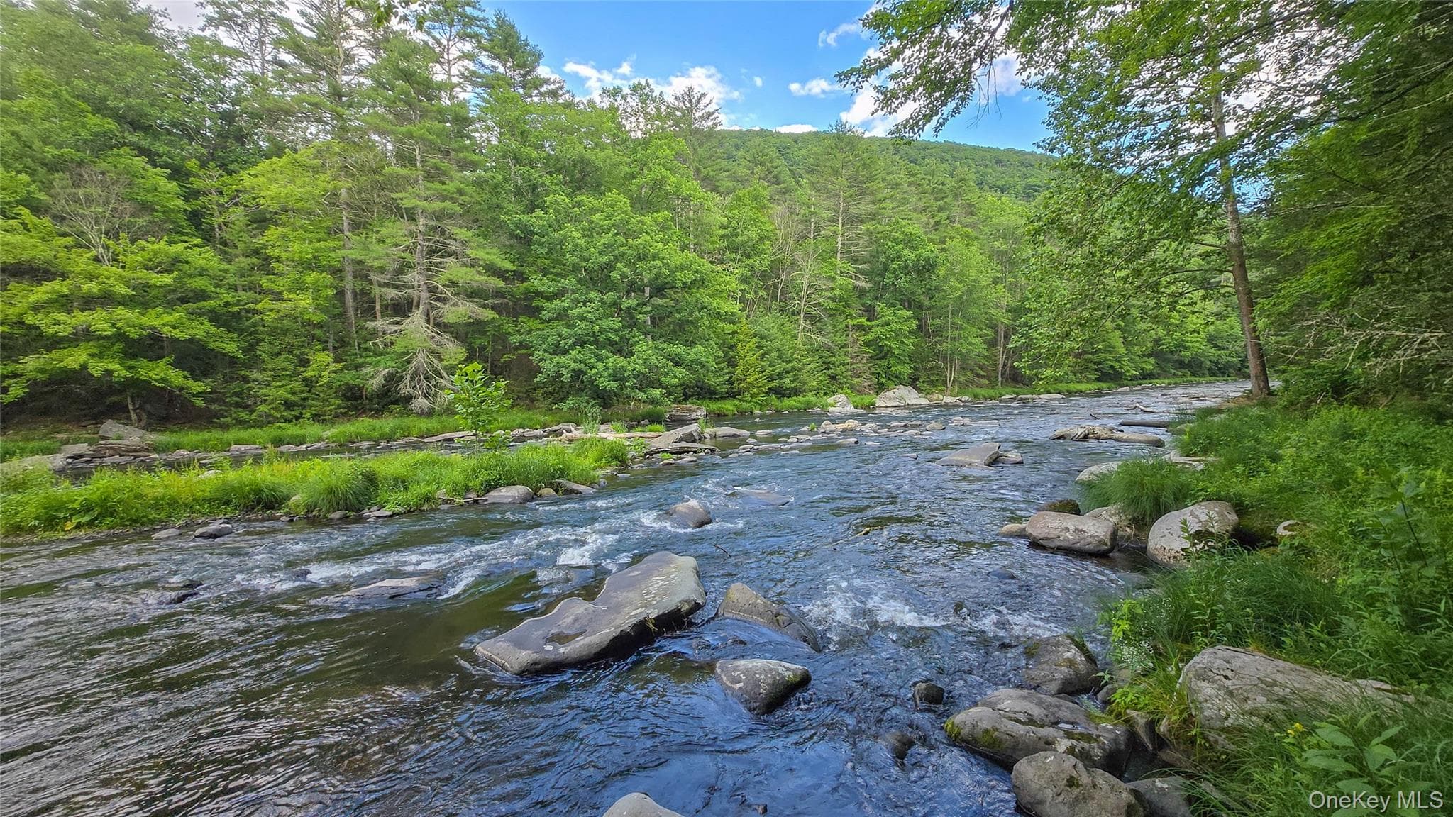0 Wilderness Trail thumbnail 5