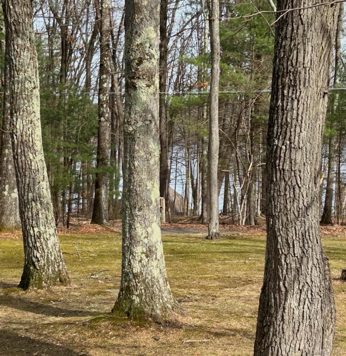 11 Fairway Drive thumbnail 19