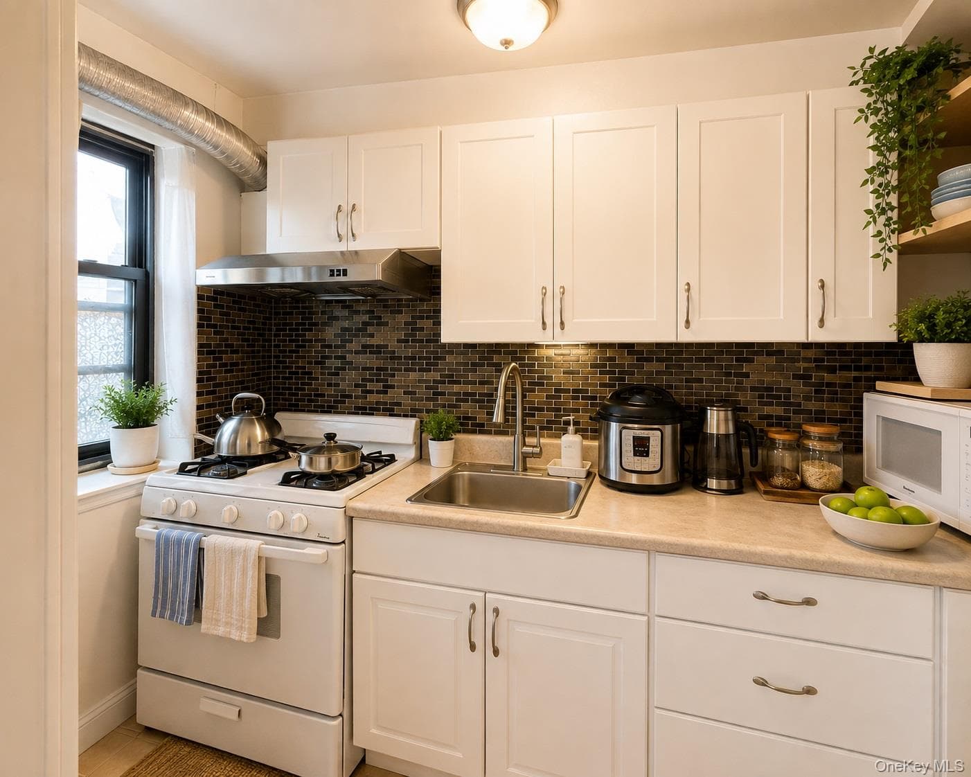 215-27 48th Avenue Unit: 1B thumbnail 8