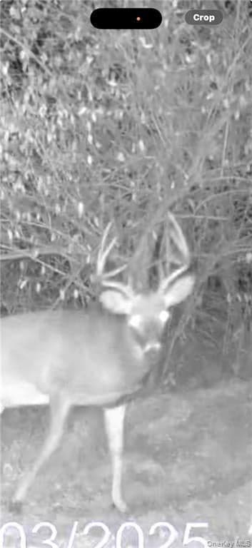 212 Meeker Road thumbnail 32
