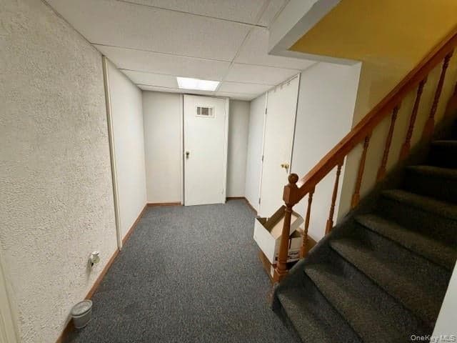 392 Coleridge Street thumbnail 21