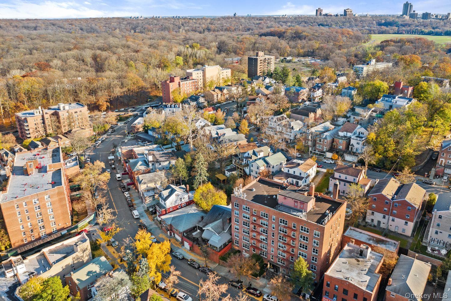 5730 Mosholu Avenue Unit: 4F thumbnail 11