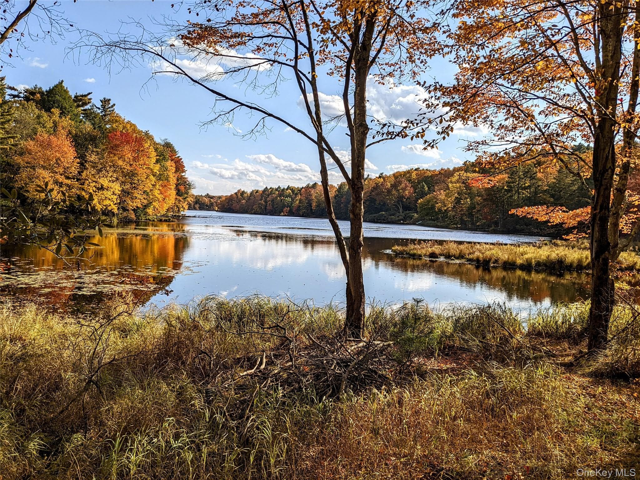 64 Cumberland Trail thumbnail 27