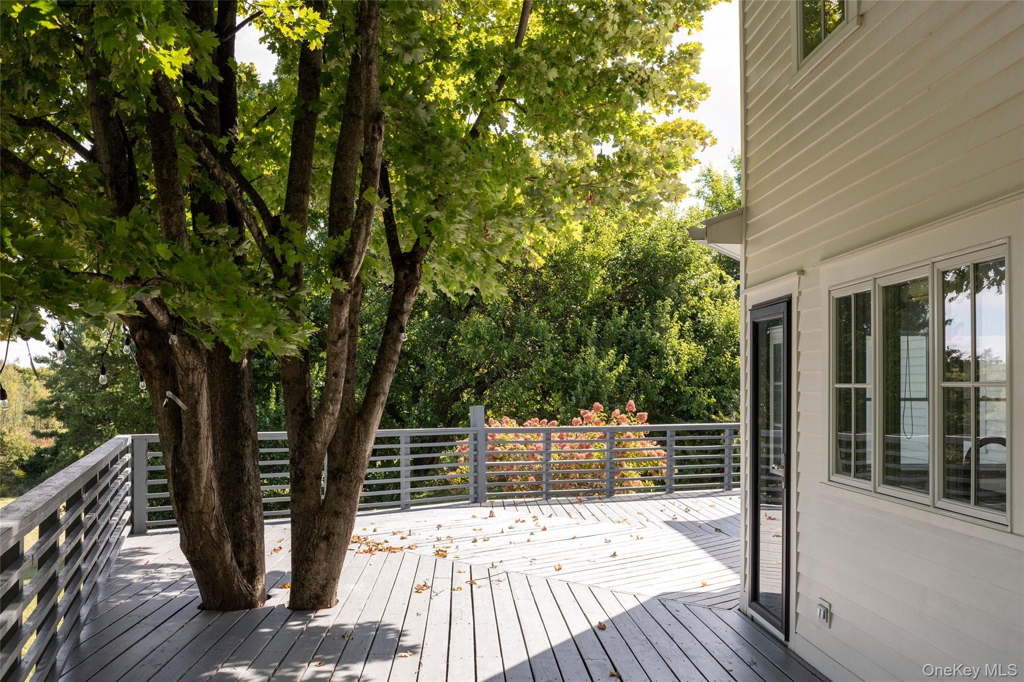367 Viewmont Road thumbnail 20