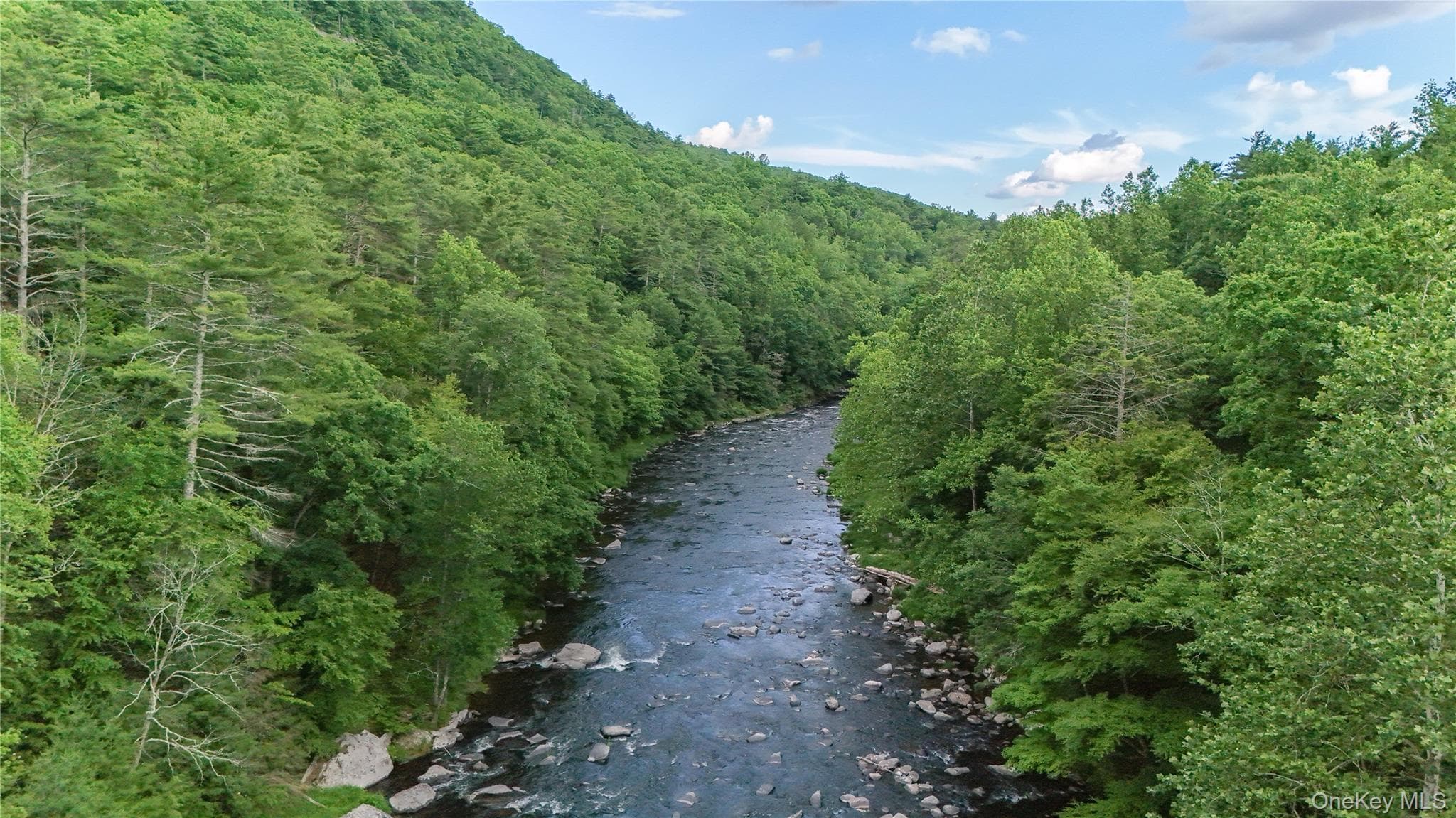 225 Hatchery Road thumbnail 34