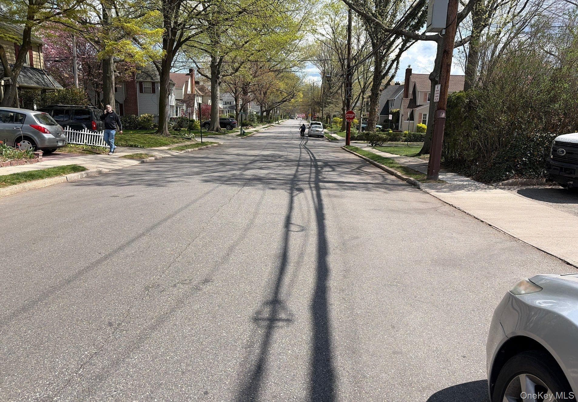 8 Chester Avenue thumbnail 4