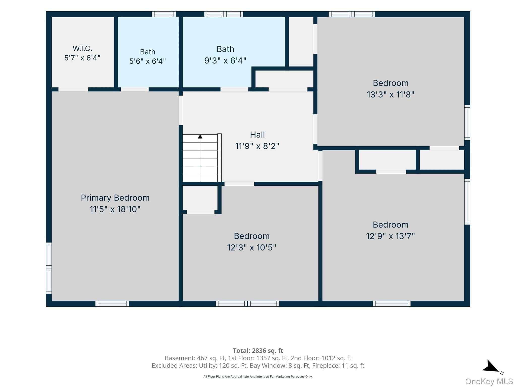 284 Marlin Street thumbnail 45