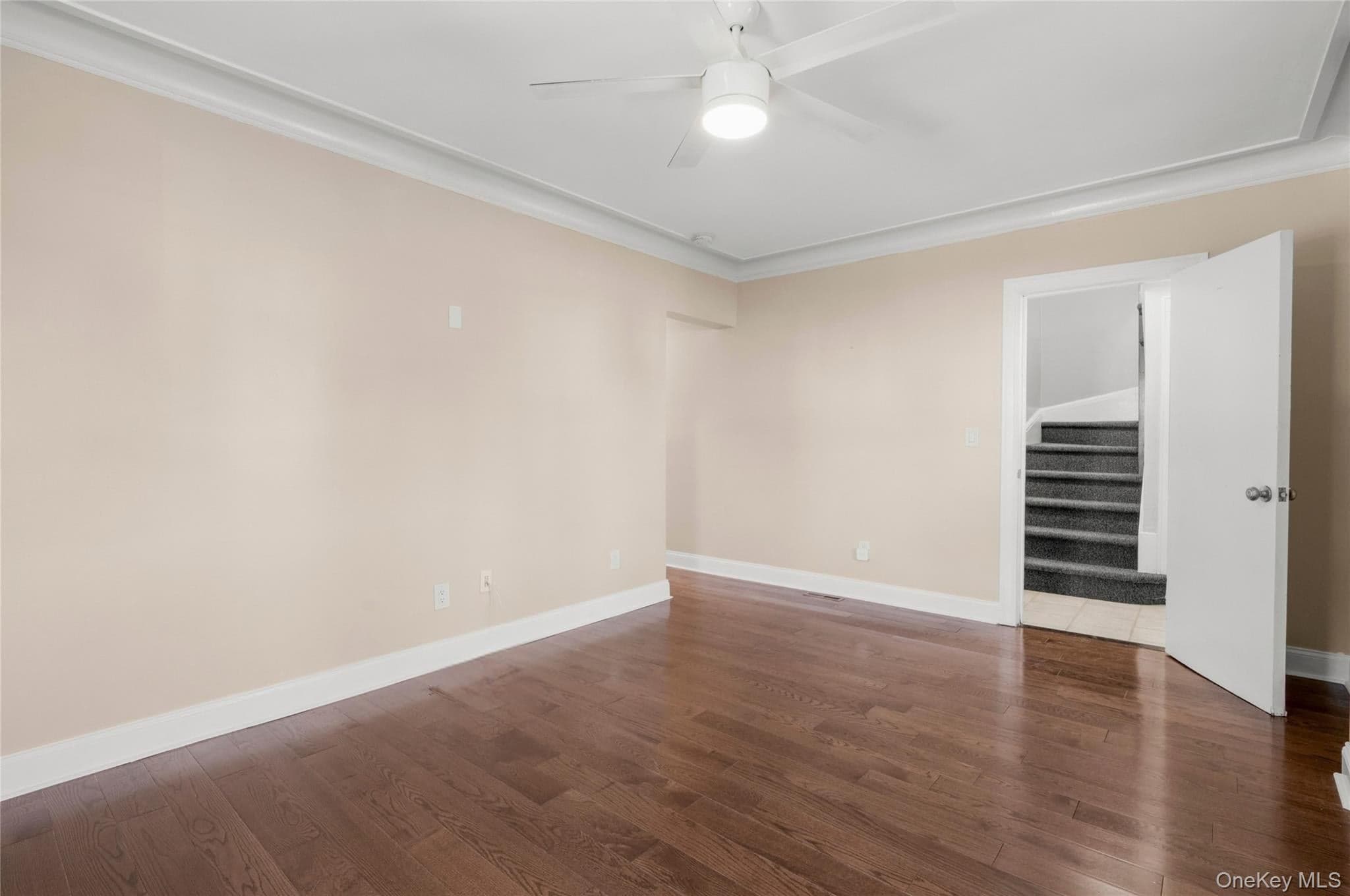 823 Lester Avenue thumbnail 5