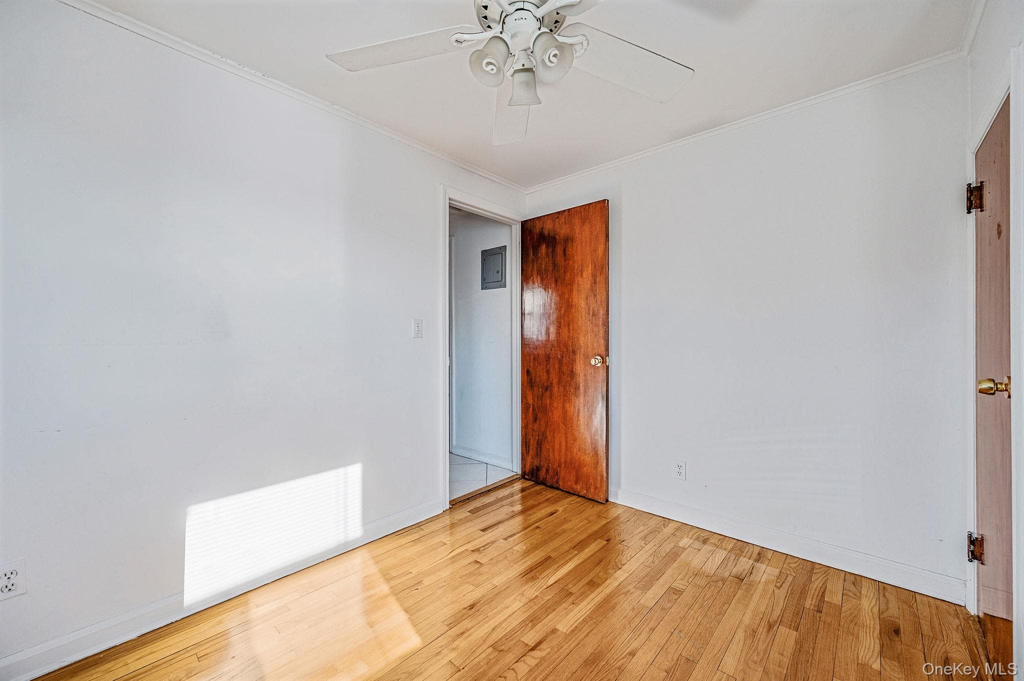 34 Meyer Avenue thumbnail 39